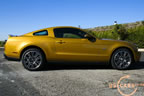 2010_mustang_gold_f.jpg (179kb)