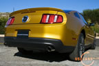 2010_mustang_gold_i.jpg (159kb)
