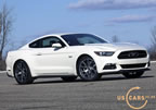 mustang_50_years_d5.jpg (170kb)