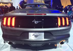 15_mustang_detroit_c7.jpg (229kb)