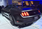 15_mustang_detroit_d1.jpg (191kb)