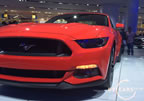 15_mustang_detroit_d9.jpg (168kb)