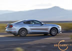 2015_mustang_ingot_c6.jpg (111kb)