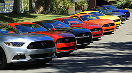 2015 Ford Mustang Gruppenbild - Race Red, Competition Orange, Triple Yellow, Black, Guard met., Ingot Silver, Deep Impact Blue, Ruby Red, Oxford White