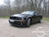 shelby_f_1.jpg (80kb)