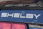 shelby_d_4.jpg (103kb)