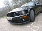 shelby_f_4.jpg (76kb)